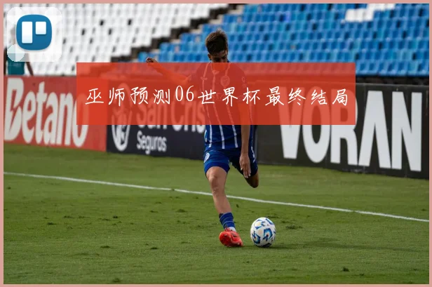 巫师预测06世界杯最终结局
